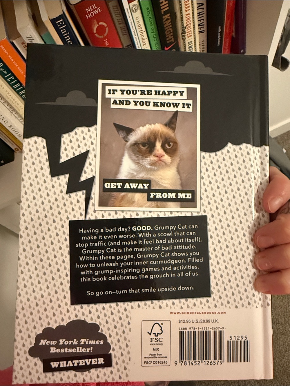 A Grumpy Book — Grumpy Cat - Picture 2 of 5